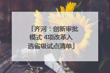 齐河：创新审批模式 4项改革入选省级试点清单