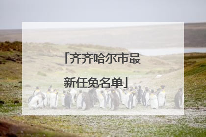 齐齐哈尔市最新任免名单