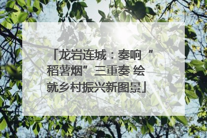 龙岩连城：奏响“稻薯烟”三重奏 绘就乡村振兴新图景