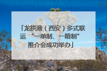 龙拱港（西安）多式联运 “一单制、一箱制” 推介会成功举办