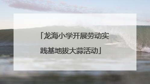 龙海小学开展劳动实践基地拔大蒜活动