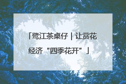 鹭江茶桌仔｜让赏花经济“四季花开”