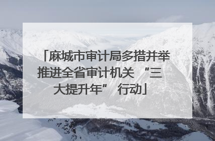 麻城市审计局多措并举推进全省审计机关 “三大提升年” 行动