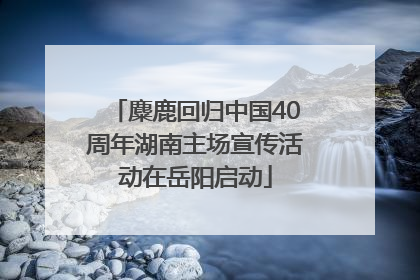 麋鹿回归中国40周年湖南主场宣传活动在岳阳启动