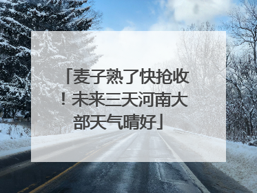 麦子熟了快抢收！未来三天河南大部天气晴好