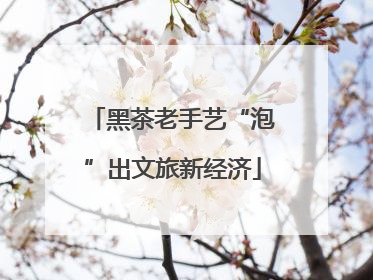 黑茶老手艺“泡”出文旅新经济