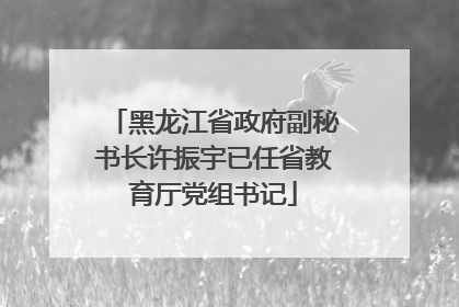 黑龙江省政府副秘书长许振宇已任省教育厅党组书记