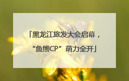 黑龙江旅发大会启幕，“鱼熊CP”萌力全开