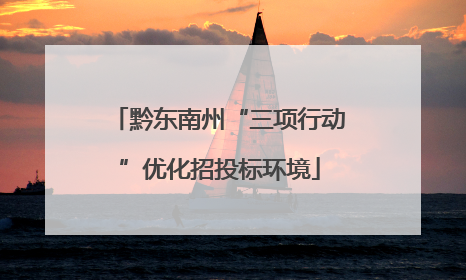 黔东南州“三项行动”优化招投标环境