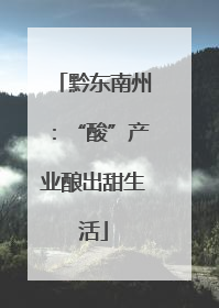 黔东南州：“酸”产业酿出甜生活