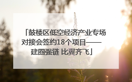 鼓楼区低空经济产业专场对接会签约18个项目——建圈强链 比翼齐飞
