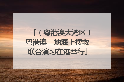 （粤港澳大湾区）粤港澳三地海上搜救联合演习在港举行