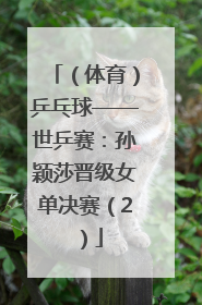 （体育）乒乓球——世乒赛：孙颖莎晋级女单决赛（2）