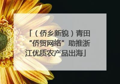 （侨乡新貌）青田“侨贸网络”助推浙江优质农产品出海