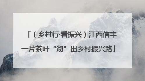 （乡村行·看振兴）江西信丰一片茶叶“沏”出乡村振兴路