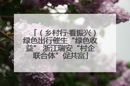 （乡村行·看振兴）绿色出行催生“绿色收益” 浙江瑞安“村企联合体”促共富