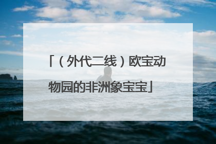 （外代二线）欧宝动物园的非洲象宝宝