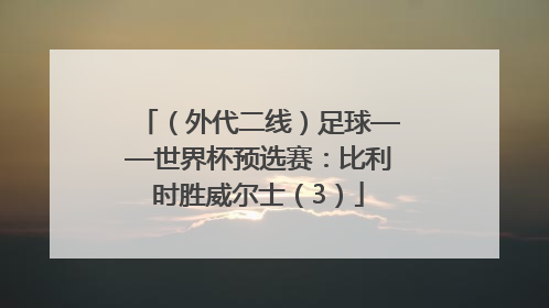 （外代二线）足球——世界杯预选赛：比利时胜威尔士（3）