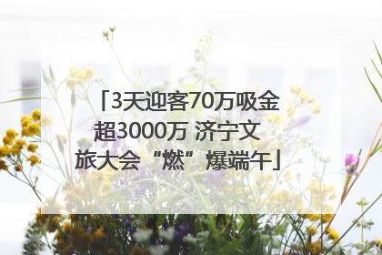 3天迎客70万吸金超3000万 济宁文旅大会“燃”爆端午