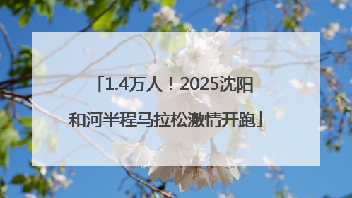1.4万人！2025沈阳和河半程马拉松激情开跑