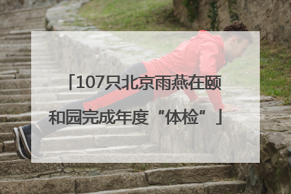 107只北京雨燕在颐和园完成年度“体检”