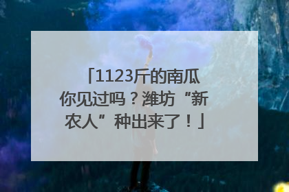 1123斤的南瓜你见过吗?潍坊“新农人”种出来了!