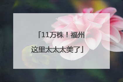 11万株！福州这里太太太美了