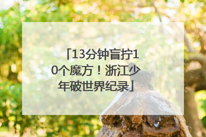 13分钟盲拧10个魔方！浙江少年破世界纪录