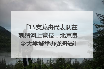 15支龙舟代表队在刺猬河上竞技，北京良乡大学城举办龙舟赛