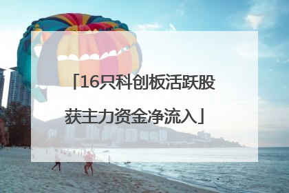 16只科创板活跃股获主力资金净流入