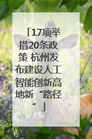 17项举措20条政策 杭州发布建设人工智能创新高地新“路径”
