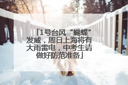 1号台风“蝴蝶”发威，周日上海将有大雨雷电，中考生请做好防范准备