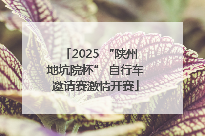 2025 “陕州地坑院杯” 自行车邀请赛激情开赛