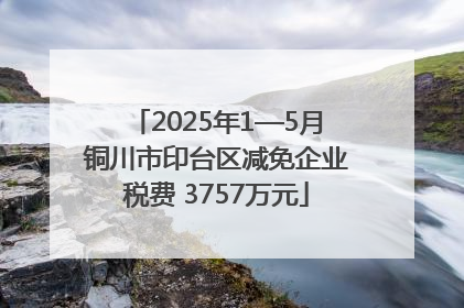 2025年1—5月铜川市印台区减免企业税费 3757万元