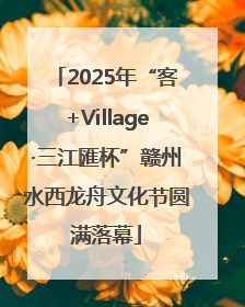 2025年“客+Village·三江匯杯”赣州水西龙舟文化节圆满落幕