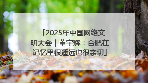 2025年中国网络文明大会｜董宇辉：合肥在记忆里很遥远也很亲切