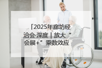 2025年廊坊经洽会·深度｜放大“会展+”乘数效应 打造消费新场景
