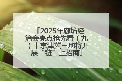 2025年廊坊经洽会亮点抢先看（九）丨京津冀三地将开展“链”上招商
