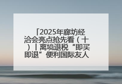 2025年廊坊经洽会亮点抢先看（十）丨离境退税“即买即退”便利国际友人“买买买”