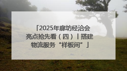 2025年廊坊经洽会亮点抢先看（四）丨搭建物流服务“样板间”