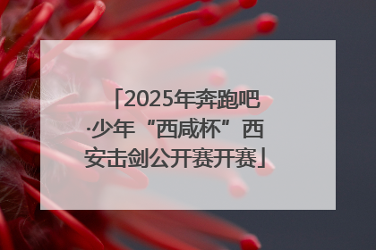 2025年奔跑吧·少年“西咸杯”西安击剑公开赛开赛