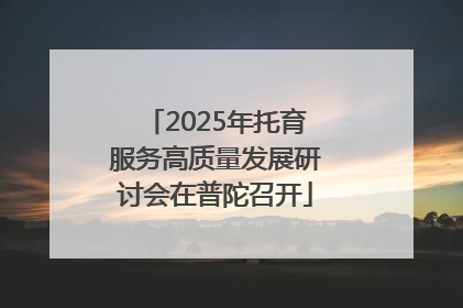 2025年托育服务高质量发展研讨会在普陀召开