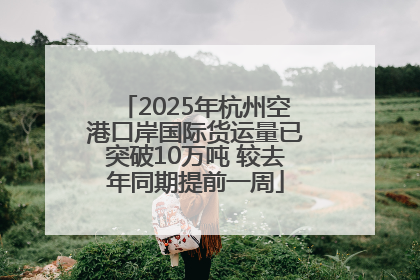 2025年杭州空港口岸国际货运量已突破10万吨 较去年同期提前一周