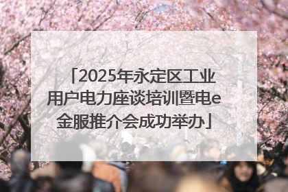 2025年永定区工业用户电力座谈培训暨电e金服推介会成功举办