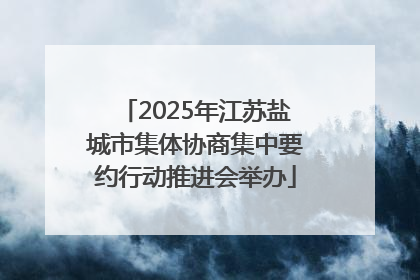 2025年江苏盐城市集体协商集中要约行动推进会举办