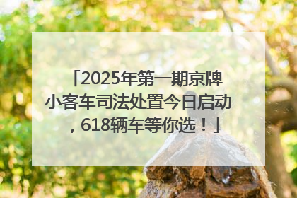 2025年第一期京牌小客车司法处置今日启动，618辆车等你选！