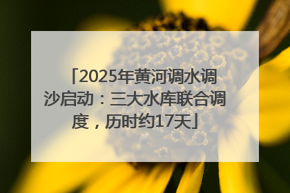 2025年黄河调水调沙启动：三大水库联合调度，历时约17天