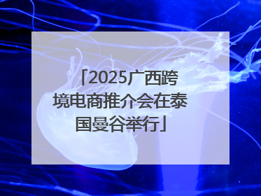 2025广西跨境电商推介会在泰国曼谷举行