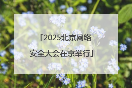 2025北京网络安全大会在京举行