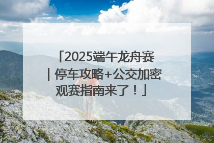 2025端午龙舟赛｜停车攻略+公交加密 观赛指南来了！